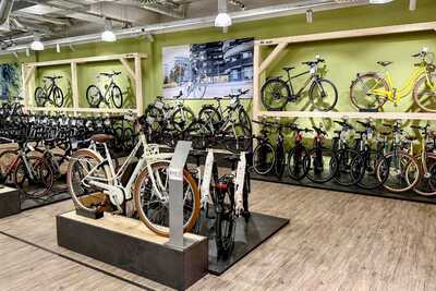 BIKE 33 Fahrradgesch&auml;ft Ingolstadt Diamant