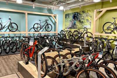 BIKE 33 Fahrradgesch&auml;ft Ingolstadt R&auml;der